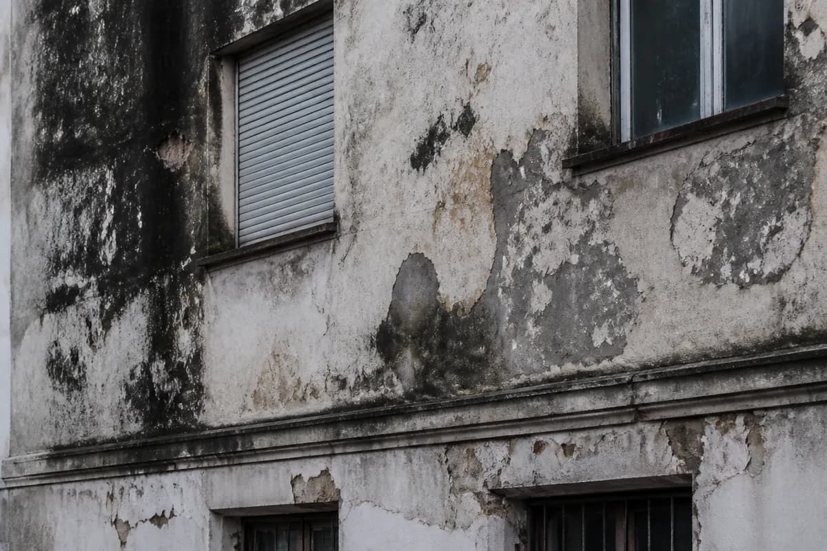 Fachada con manchas de humedad y revestimiento degradado en zona baja, fotografía documental a luz difusa